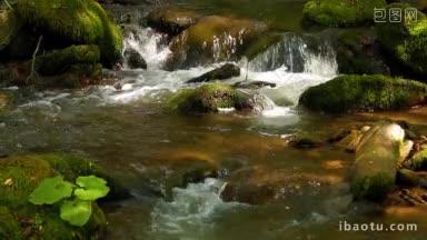 森林小溪，长满青苔的石头和纯净的淡水